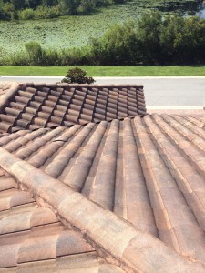 Another dirty tile roof