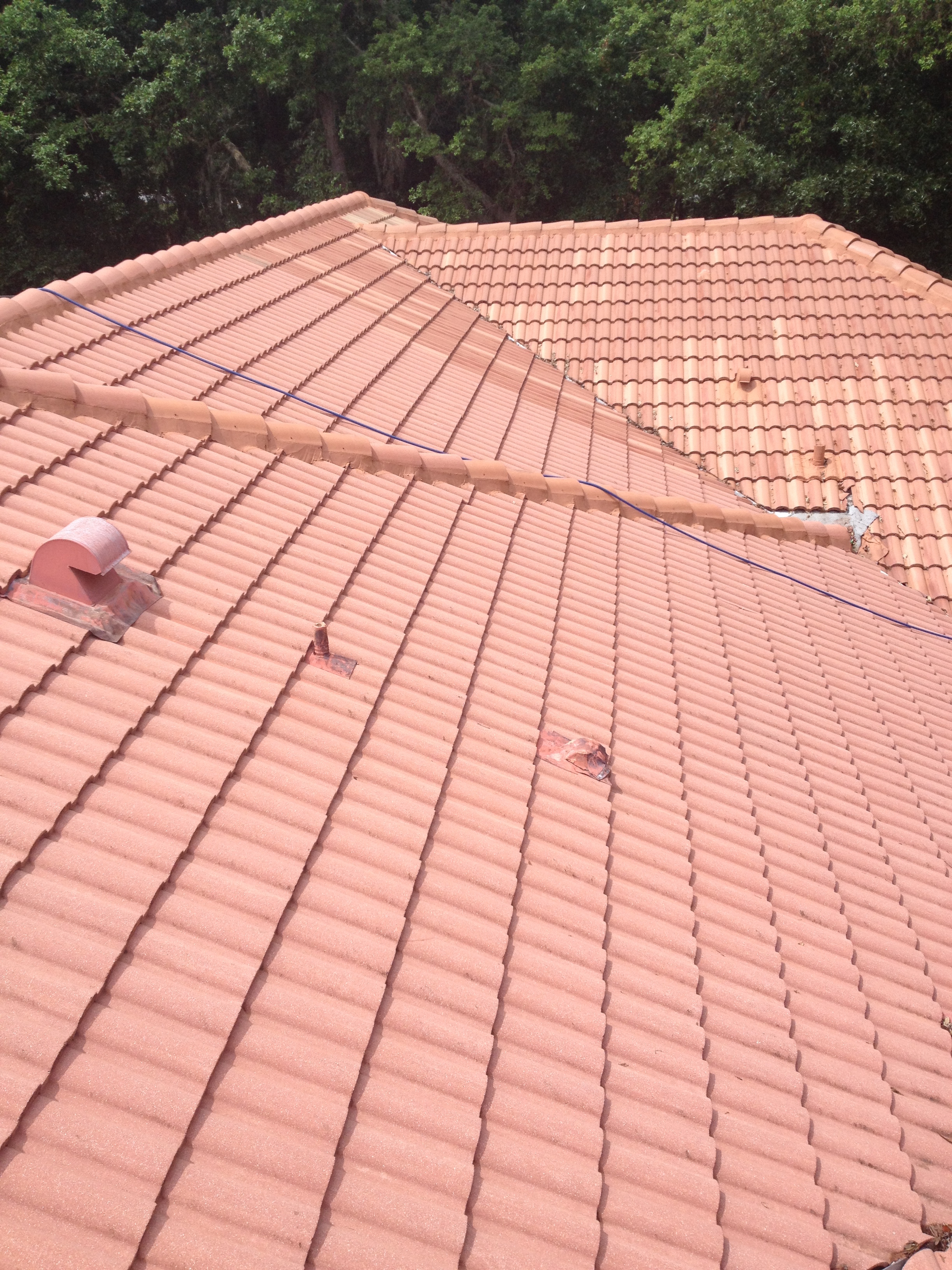 roof tile cleaning